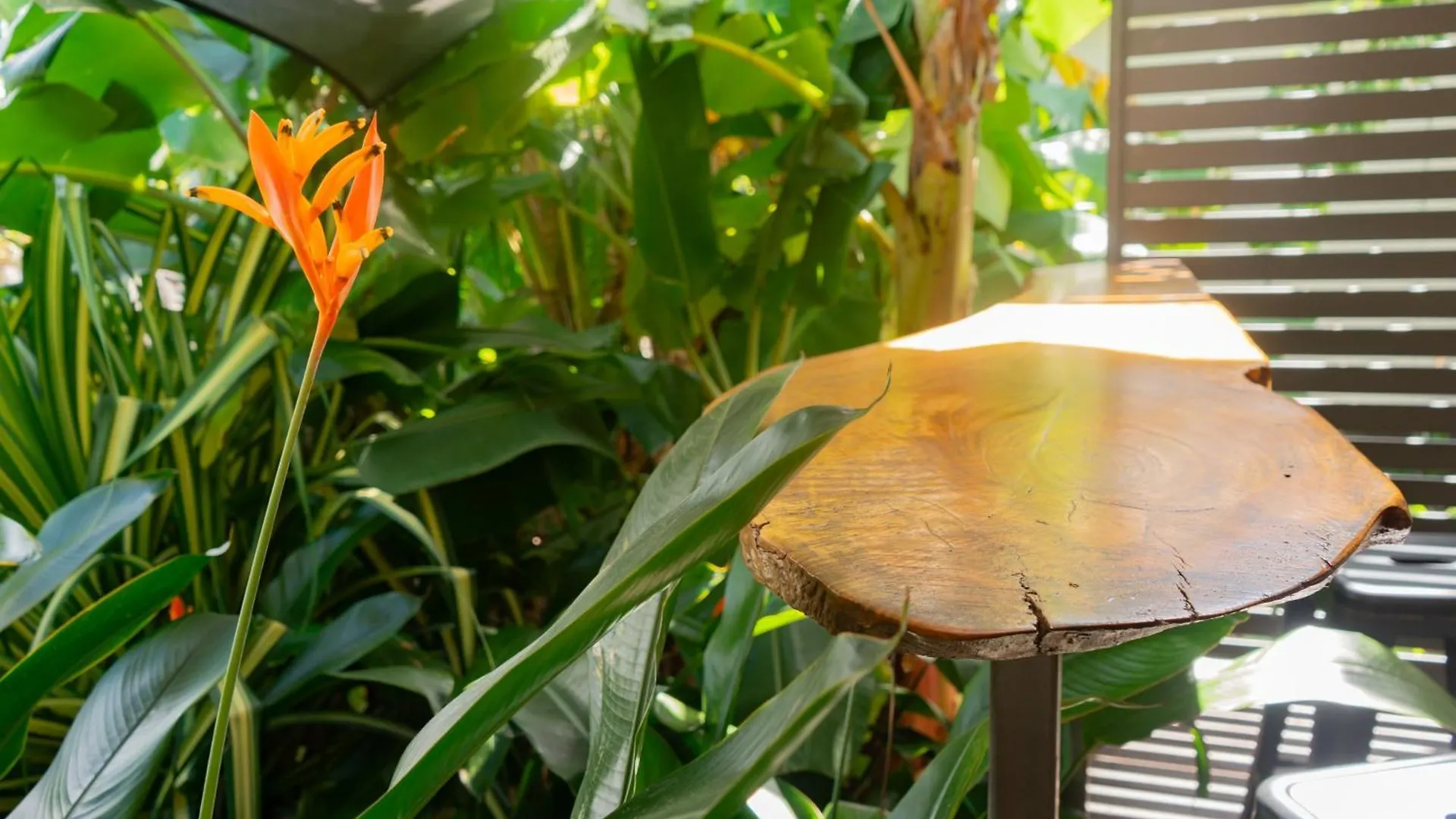 Feriehus Kapok Flower Entire Studio Horseshoe Bay